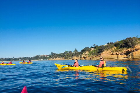 Mornington Peninsula Kayak Coastline Tour Of Dolphin Sanctuary - Gold Coast Attractions 1