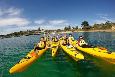 Mornington Peninsula Kayak Coastline Tour Of Dolphin Sanctuary - Gold Coast Attractions 2