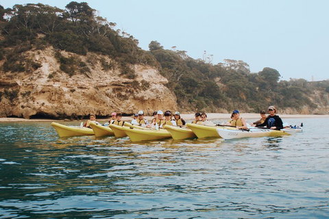 Mornington Peninsula Kayak Coastline Tour Of Dolphin Sanctuary - Gold Coast Attractions 4