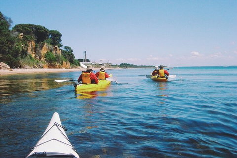 Mornington Peninsula Kayak Coastline Tour Of Dolphin Sanctuary - Gold Coast Attractions 5