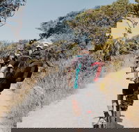 Self-Guided Point Nepean National Park Bike Hire - Gold Coast Attractions