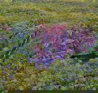 Litchfield Park  Daly River - Scenic Flight From Darwin - Gold Coast Attractions
