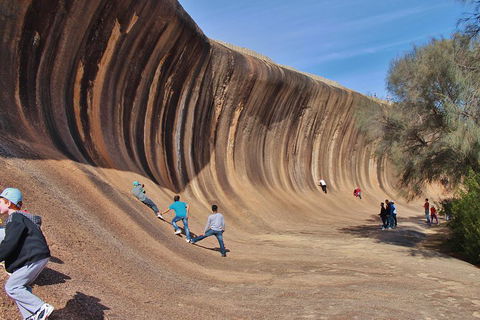 Wave Rock Half Day Air & Ground Tour - Gold Coast Attractions 2