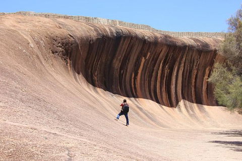 Wave Rock Half Day Air & Ground Tour - Gold Coast Attractions 3