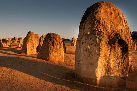 Wave Rock And Pinnacles Air & Ground Tour - Gold Coast Attractions 1
