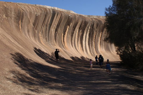 Wave Rock, Pinnacles And Rottnest One Day Aeroplane Tour - Gold Coast Attractions 4