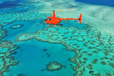 Reef & Whitehaven Landing - Gold Coast Attractions 4