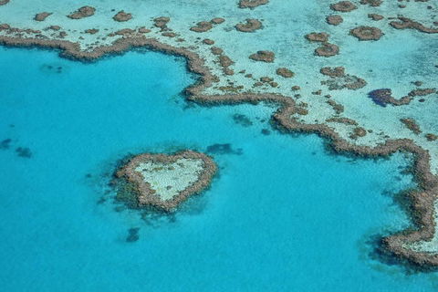 Reef And Island Scenic Flight From Airlie Beach - Gold Coast Attractions 5