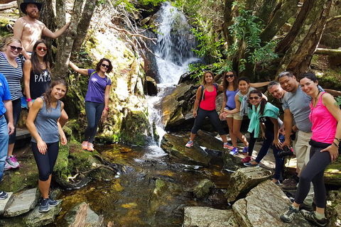 7-Day Super Value Tour Of Tasmania: Explore Tasmania's West And East Coasts - Gold Coast Attractions 2