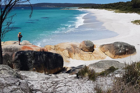 2-Day Tas East Coast Escape Tour Including Bay Of Fires, Wineglass Bay & Devils - Gold Coast Attractions 4
