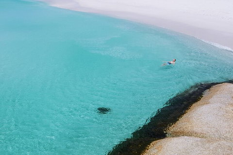 2-Day Tas East Coast Escape Tour Including Bay Of Fires, Wineglass Bay & Devils - Gold Coast Attractions 5