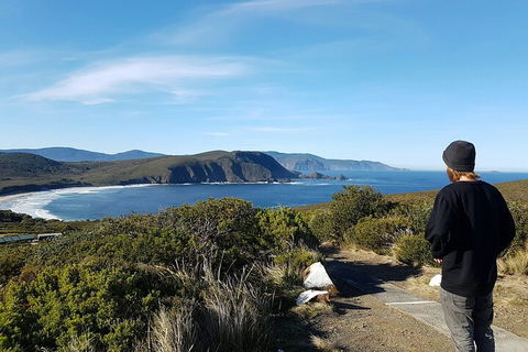 4-Day Fabulous Tasmania Tour: Wineglass Bay, Port Arthur, Devils & Bruny Island - Gold Coast Attractions 0