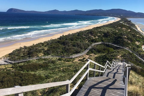 4-Day Fabulous Tasmania Tour: Wineglass Bay, Port Arthur, Devils & Bruny Island - Gold Coast Attractions 5
