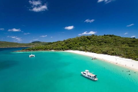 Whitehaven Beach And Hill Inlet | Awesome Beach BBQ | Family Friendly - Gold Coast Attractions 3