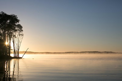 Serenity Cruise to Australia's Everglades