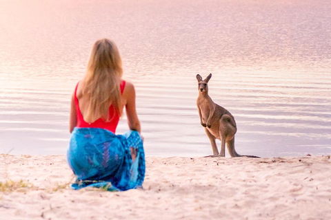 Serenity Cruise To Australia's Everglades - Gold Coast Attractions 3