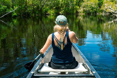 Cruise 'n' Canoe To Australia's Everglades - Gold Coast Attractions 0