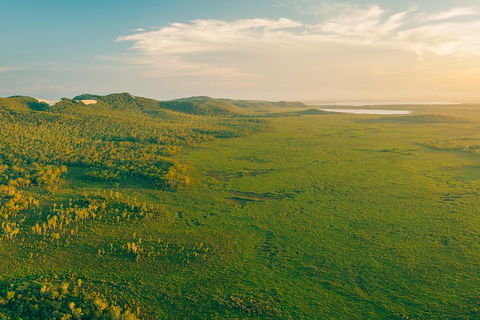 Cruise 'n' Canoe To Australia's Everglades - Gold Coast Attractions 1