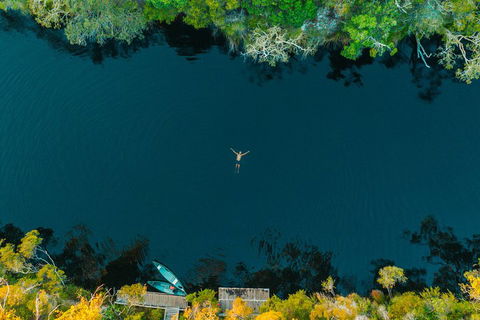 Cruise 'n' Canoe To Australia's Everglades - Gold Coast Attractions 2