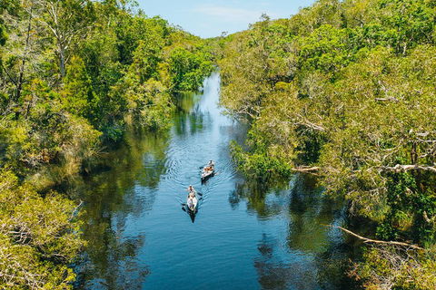 Cruise 'n' Canoe To Australia's Everglades - Gold Coast Attractions 3