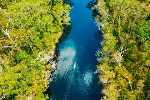 Cruise 'n' Canoe To Australia's Everglades - Gold Coast Attractions 4