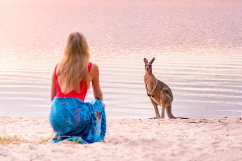 Cruise 'n' Canoe To Australia's Everglades - Gold Coast Attractions 5