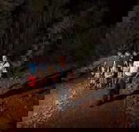 Alice Springs Desert Park Nocturnal Tour