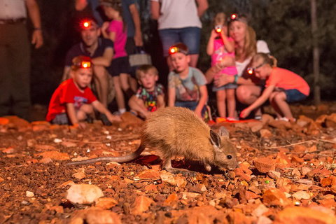 Alice Springs Desert Park Nocturnal Tour - Gold Coast Attractions 1