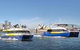 Go City | Sydney Explorer Pass With 20+ Attractions And Tours - thumb 5