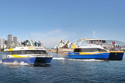Go City | Sydney Explorer Pass With 20+ Attractions And Tours - Gold Coast Attractions 5