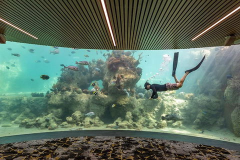 Whitehaven Beach And Daydream Island Cruise - Gold Coast Attractions 4