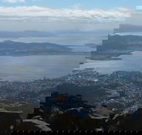 Mt Wellington Tour and MONA Admission