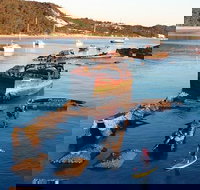 Adventure Moreton Island Wrecks Adventure Package - Gold Coast Attractions