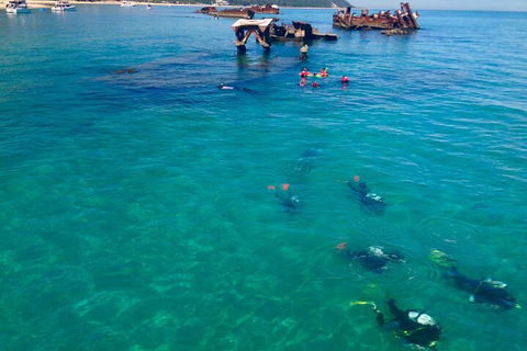 Adventure Moreton Island Scuba Dive Tour - Gold Coast Attractions 0