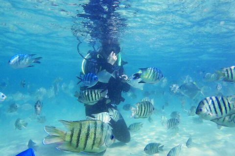 Adventure Moreton Island Scuba Dive Tour - Gold Coast Attractions 1