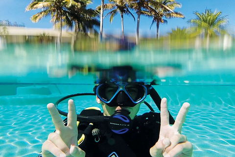 Adventure Moreton Island Scuba Dive Tour - Gold Coast Attractions 2