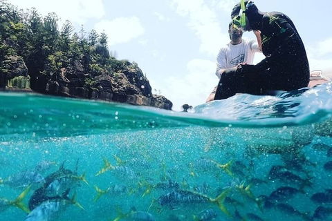 2 Night Small Group Whitsundays Sailing Adventure Aboard Mandrake - Gold Coast Attractions 5