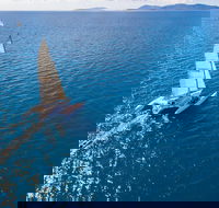 2-Night Whitsunday Islands Sailing Adventure on Trimaran Avatar - Gold Coast Attractions