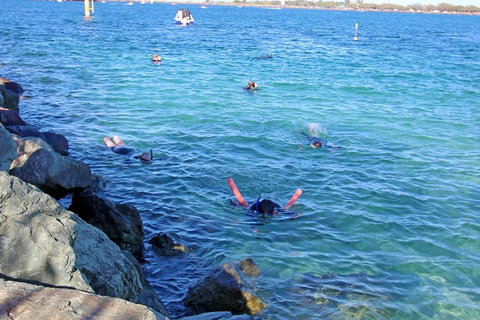 Wave Break Island Scuba Diving On The Gold Coast - Gold Coast Attractions 1