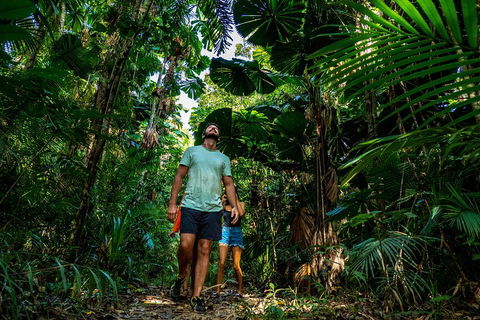 Full Day Daintree Rainforest And Mossman Gorge Tour - Gold Coast Attractions 0