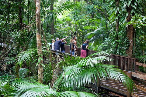 Full Day Daintree Rainforest And Mossman Gorge Tour - Gold Coast Attractions 1