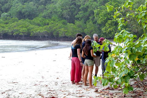Full Day Daintree Rainforest And Mossman Gorge Tour - Gold Coast Attractions 2