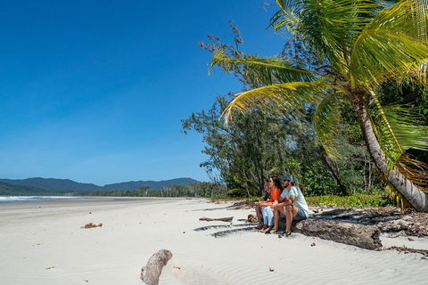 Full Day Daintree Rainforest And Mossman Gorge Tour - Gold Coast Attractions 4