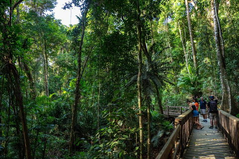 Full Day Daintree Rainforest And Mossman Gorge Tour - Gold Coast Attractions 5