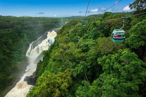 Cairns ATV Adventure Tour And Morning Skyrail - Gold Coast Attractions 3