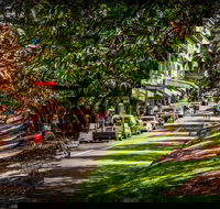 Fully Inclusive Blue Mountains Private Tour inc Scenic World  Featherdale entry - Gold Coast Attractions