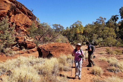 Palm Valley And Hermannsburg 1 Day 4WD Tour - Gold Coast Attractions 1