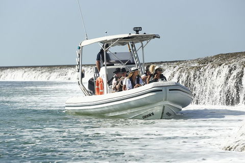 Cygnet Bay Explorer - Gold Coast Attractions 2