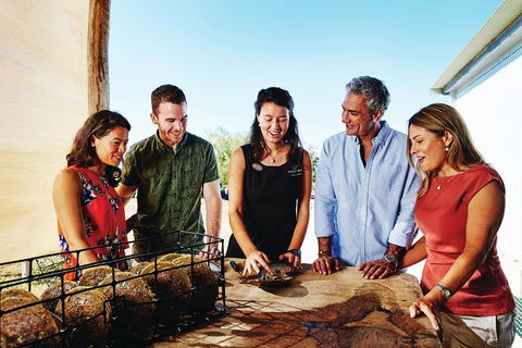 Cygnet Bay Explorer - Gold Coast Attractions 4