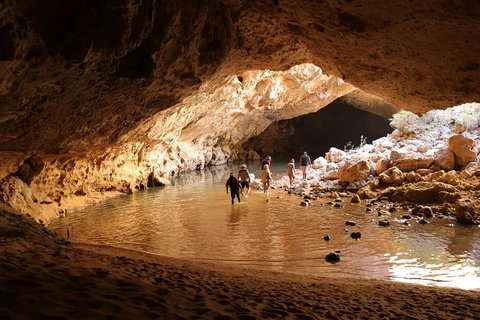 Windjana Explorer - Gold Coast Attractions 0